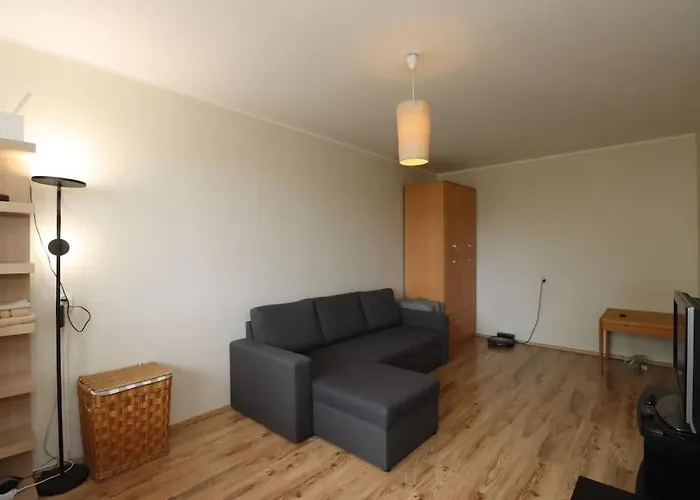 Song Festival 5-10 Minutes From Airport, Bus Station, Festival Area Apartment *