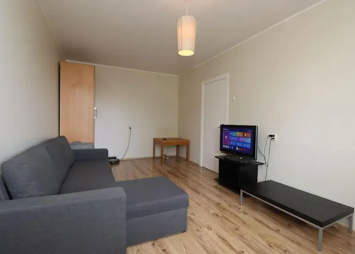 Song Festival 5-10 Minutes From Airport, Bus Station, Festival Area Apartment *