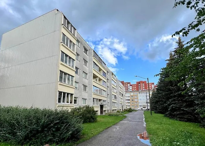 Song Festival 5-10 Minutes From Airport, Bus Station, Festival Area Διαμέρισμα Ταλίν