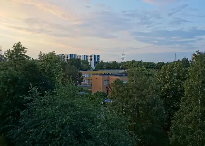 Song Festival 5-10 Minutes From Airport, Bus Station, Festival Area Apartment